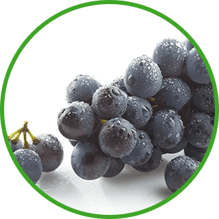 Image of Grapes