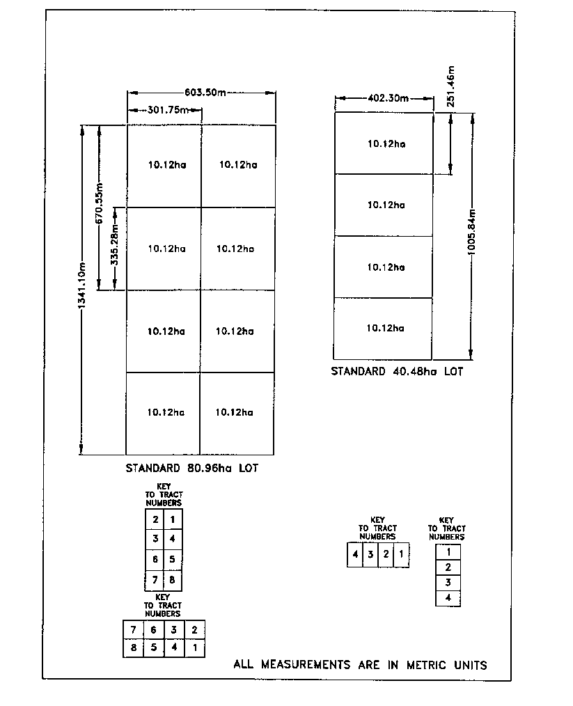 Image of method of dividing standard lots of 81 and 41 hectares into equal rectangular tracts and numbering of the tracts.