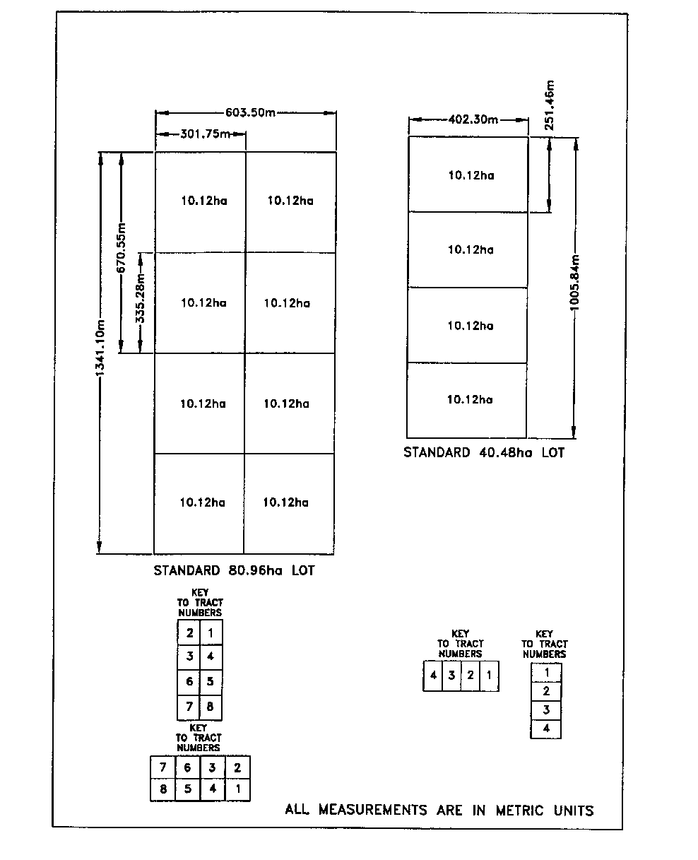 Image of method of dividing standard lots of 81 and 41 hectares into equal rectangular tracts and numbering of the tracts.