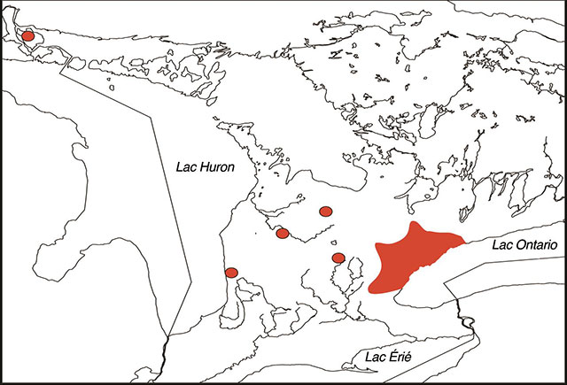 Répartition des populations de ménés longs. Carte montrant la répartition du méné long. On retrouve l’espèce dans le sud de l’Ontario, ainsi que dans la rivière Two Tree, sur l’île St-Joseph.